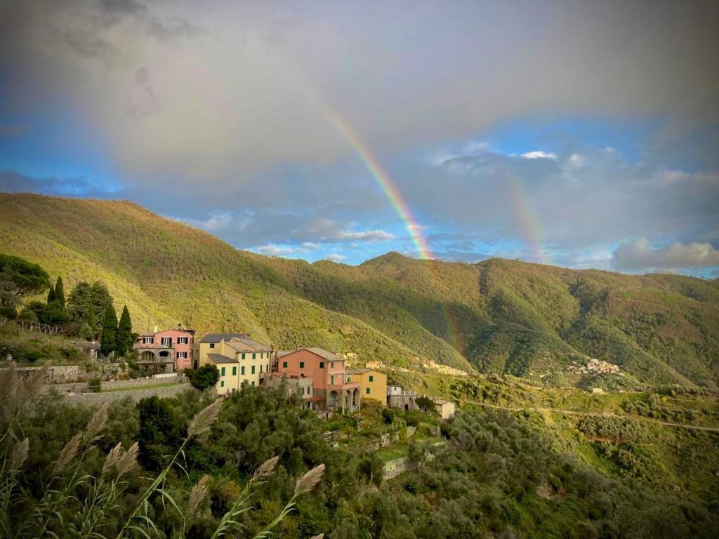 Casa Sara, Levanto, In Collina Ad Un Passo Dal Mare! エクステリア 写真